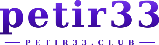 petir33 logo